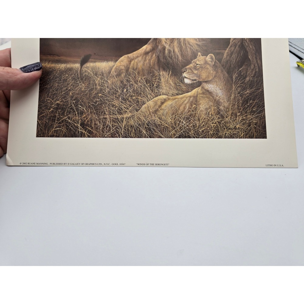 Ruane Manning Wildlife Art Prints Lion Tiger‎ Set Litho USA - Picture 7 of 11
